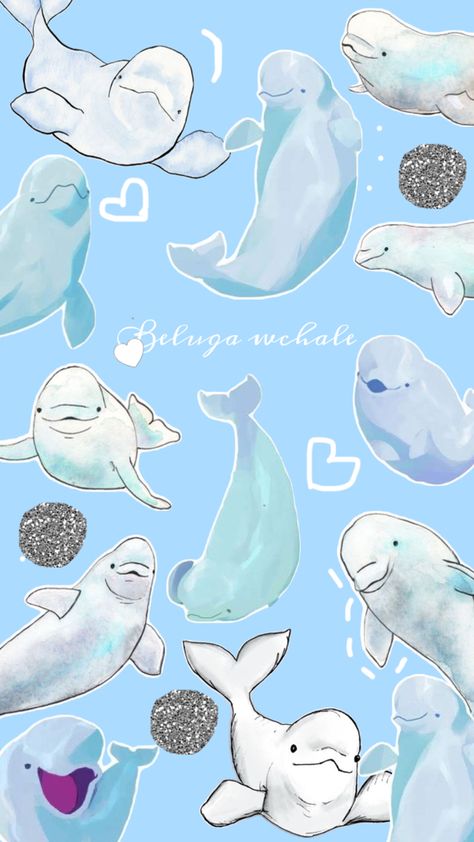 Oceanography Marine Biology, Cardboard Animals, Sea Illustration, Cute Whales, Beluga Whale, Whale Art, Marine Mammals, Whale Shark, Cute Patterns Wallpaper