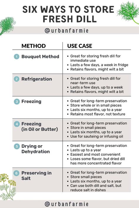 Dill is a great herb that brightens up any meal! If you grow your dill or even buy it from the store, you might want to know how to store it! Here are a few tips on keeping fresh dill so that it will last longer, without wilting or losing its flavor Cooking With Fresh Dill, How To Use Fresh Dill, How To Store Fresh Dill, What To Do With Dill Fresh Herbs, Ways To Use Fresh Dill, How To Preserve Dill, How To Preserve Fresh Dill, How To Keep Dill Fresh In Fridge, Preserving Dill