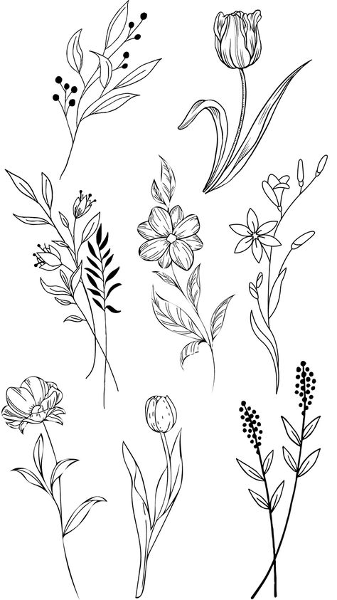 Simple Floral Illustrations, Wildflowers Doodle, Dainty Flower Sketch, Wildflower Outline Drawing, Wildflower Illustration Simple, Wildflower Clipart Black And White, Floral Illustrations, Doodles, Canvas