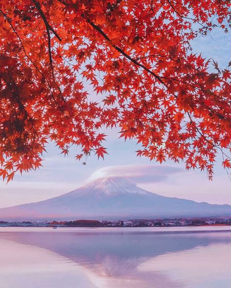 Mt. Fuji, Japan Japan Autumn, Get Paid To Travel, Paid To Travel, Plitvice Lakes National Park, Plitvice Lakes, Autumn Scenery, Napoleon Hill, Japan Photo, Decor Fall