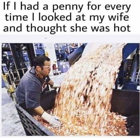 If I had a penny for every time I looked at my wife and thought she was hot – popular memes on the site ifunny.co Girlfriend Meme, Biology Humor, Flirty Memes, Bored Teachers, Chemistry Jokes, Grammar Humor, Girlfriend Humor, Nursing Memes, Teacher Memes