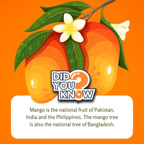 Did you know? Mango is the national fruit of Pakistan! 🥭🇵🇰 Celebrate this juicy fact with Mango Yard. Enjoy our fresh, premium mangoes delivered right to your doorstep. Taste the pride of Pakistan today! 🚛🍃 #MangoYard #NationalFruit #Mango #Pakistan #FreshMangoes #PrideOfPakistan #JuicyMangoes #MangoLove 🍋💚 Mango Tree, The Pride, The National, Did You Know, Pakistan, Mango, Yard, Fruit, Instagram Posts