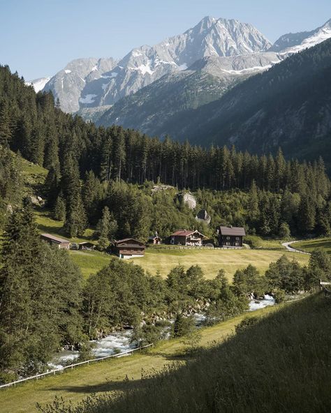 C H R I S   B O R G on Instagram: “Happy International Mountain Day 🏔 Mountains cover over a quarter of the planet’s land mass and play a crucial role in our ecosystem.…” International Mountain Day, Mountain Ecosystem, S B, Ecosystem, Mount Rainier, Planets, Natural Landmarks, Travel, On Instagram