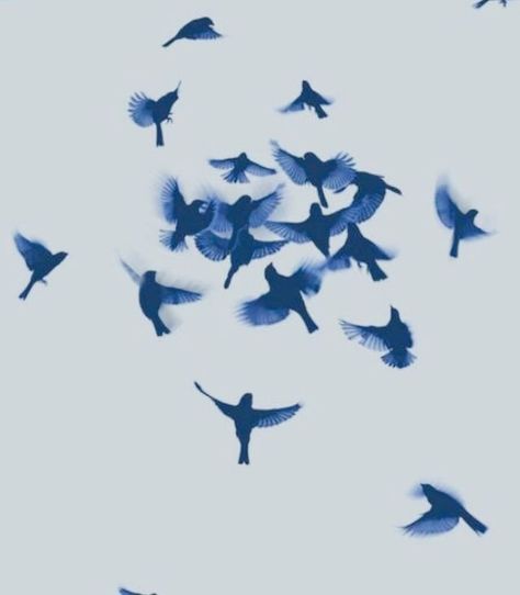 Birds Flying Photography, Flying Photography, Altered Reality, Moral Orel, Tokyo Mew Mew, Flock Of Birds, Chronicles Of Narnia, Birds Flying, Nightwing