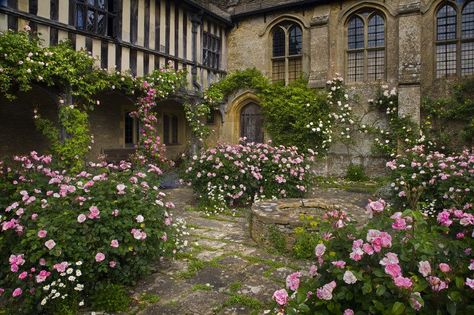 Great Chalfield Manor Fountains Abbey, Arundel Castle, Wiltshire England, Manor Garden, British Garden, Most Romantic Places, English Country Gardens, Garden Pictures, White Gardens