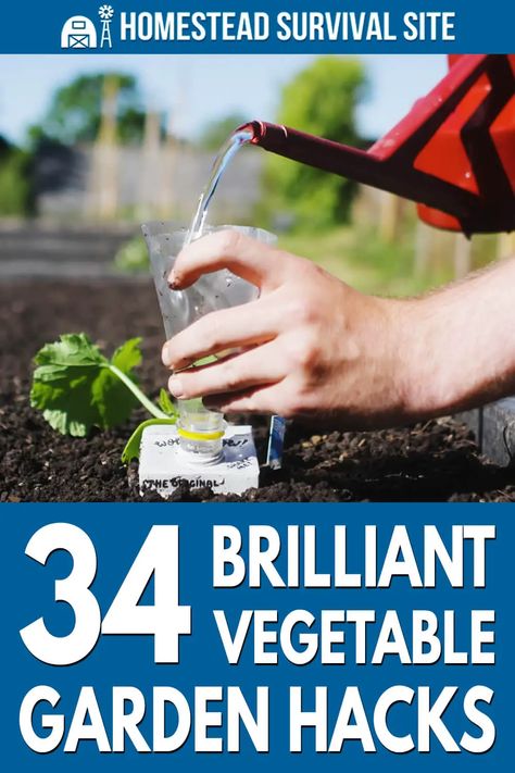 As he says in the video, these gardening tips can be used on a daily basis. Here are 34 brilliant vegetable gardening hacks. Adobe Garden, Survival Homestead, Suburban Homesteading, Outdoor Design Ideas, Homestead Lifestyle, Herbs Growing, Homesteading Tips, Garden Gadgets, Green Backyard