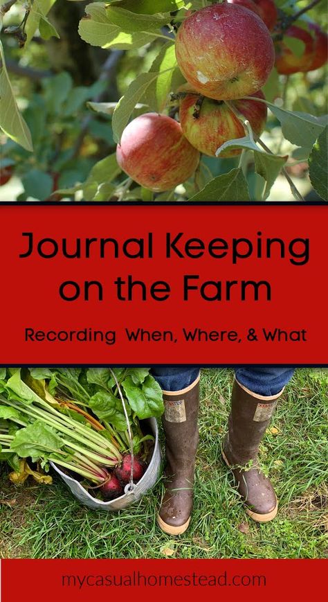 Homestead Journal, Farm Journal, Homestead Journal Free Printable, Annual Homestead Schedule, Farm Record Keeping, January Homestead To Do List, Australian Farm, Daily Record, Farm Plans