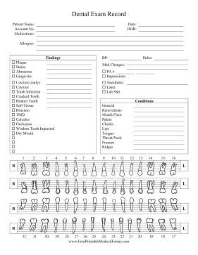 Dental Charting, Dental Assistant Study, Dental Business Cards, Medical Binder, Tooth Chart, Dental Exam, Cv Template Word, Dental Facts, Dental Design