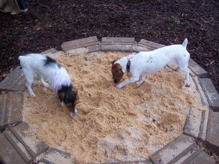 Digging Area For Dogs, Dog Digging Pit, Dog Digging Pit Ideas, Dog Dig Pit Diy, Dig Pit For Dogs, Digging Box For Dogs, Dog Digging Area Sand Boxes, Digging Pit For Dogs, Diy Dog Digging Pit