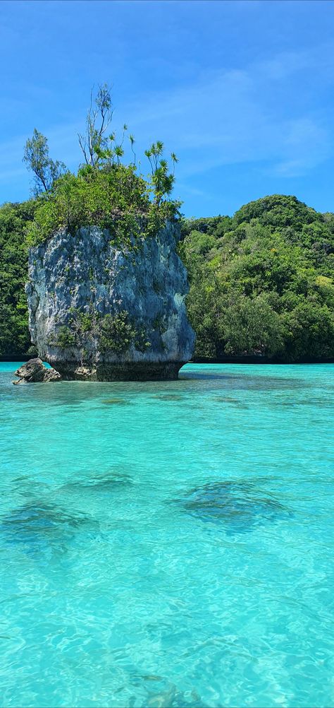 By Chitsunt Palau Aesthetic, Palau Island, Nature Oc, Amazing Landscapes, Oceania Travel, Earth Nature, National Photography, Rock Island, Desert Island