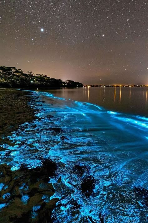 Bioluminescence Water, Bioluminescence Beach, Bioluminescent Algae, Bioluminescent Bay, Ocean At Night, Sea Of Stars, Water Aesthetic, Fantasy Places, Dream Places