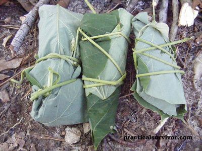 Primitive Cooking Methods - http://www.ecosnippets.com/food-drink/primitive-cooking-methods/ Primitive Cooking, Spit Roast, Cooking Stone, Primitive Survival, Vegetable Drinks, Survival Food, Wilderness Survival, Food Supply, Cooking Equipment