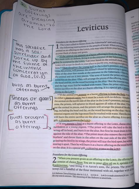 Bible Study Leviticus, Leviticus Bible Journaling Notes, Leviticus Bible Study Notes, Leviticus Bible Study, Leviticus Bible Journaling, Bible Annotations, Scripture Notes, Bible Highlighting, Bible Journal Notebooks