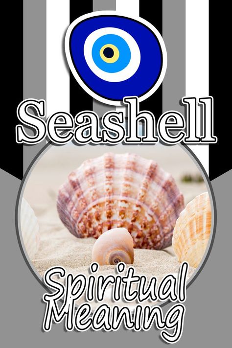 Seashell Spiritual Meaning Sea Shell Meaning, Cowrie Shell Meaning, Shells Meaning, Seashell Meaning, Seashell Witchcraft, Seashells Spiritual Meaning, Sea Shell Spiritual Meaning, Shell Meaning, Conch Shell Spiritual Meaning