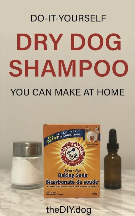 Diy Dog Smell Good Spray, Dry Dog Shampoo Diy, Diy Dog Dry Shampoo, Homemade Dog Shampoo Easy, Diy Dry Shampoo For Dogs, Dog Dry Shampoo, Dry Shampoo For Dogs, Dog Shampoo Recipe, Diy Dog Shampoo