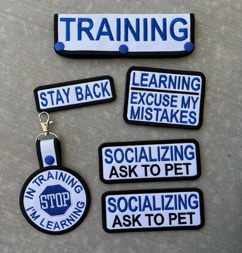 All Posts • Instagram Service Dog Patches, Vest Patches, Dog Patch, Assistance Dog, Group Work, Dog Gear, Service Dogs, Dogs