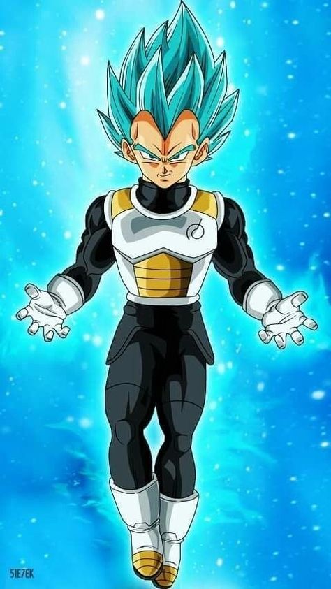 Ball Character, Super Vegeta, Dragon Ball Tattoo, Dbz Characters, Dragonball Super, Super Saiyan God, Dragon Ball Super Wallpapers, Dragon Ball Art Goku, Dragon Ball Super Art