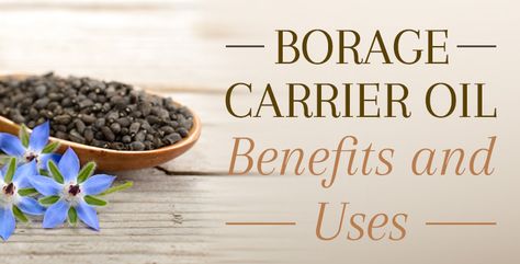 Borage Oil Benefits, Carrier Oil Benefits, Skin Care And Hair Care, Borage Oil, Carrier Oil, For Skin Care, Beauty Oil, Body Balm, Oil Benefits