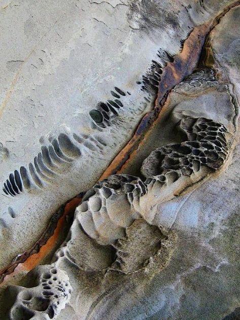 Gabriola Sandstone Abstract 🏞️✨ Explore the intriguing and artistic formations of Gabriola sandstone. Perfect for those who appreciate natural art and geological wonders! 🌿🪨 #SandstoneArt #GeologicalBeauty #GabriolaIsland Rockpool Photography, Earth Texture, Artisan Tiles, Rock Textures, Texture Inspiration, Natural Art, Organic Form, Abstract Nature, Perfect World