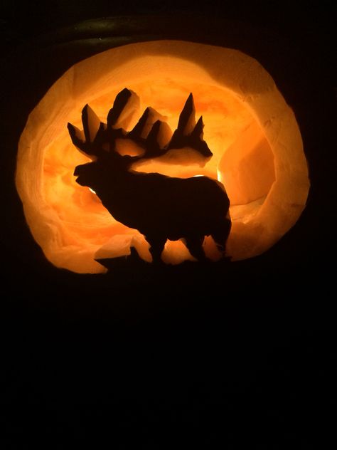 Pumpkin bull elk craving Bull Pumpkin Carving, Elk Pumpkin Carving, Pumpkin Carving Ideas Country, Pumpkins Carving, Pumpkin Carving Halloween, Halloween Carving, Amazing Pumpkin Carving, Carved Pumpkins, Pumpkin Carving Designs