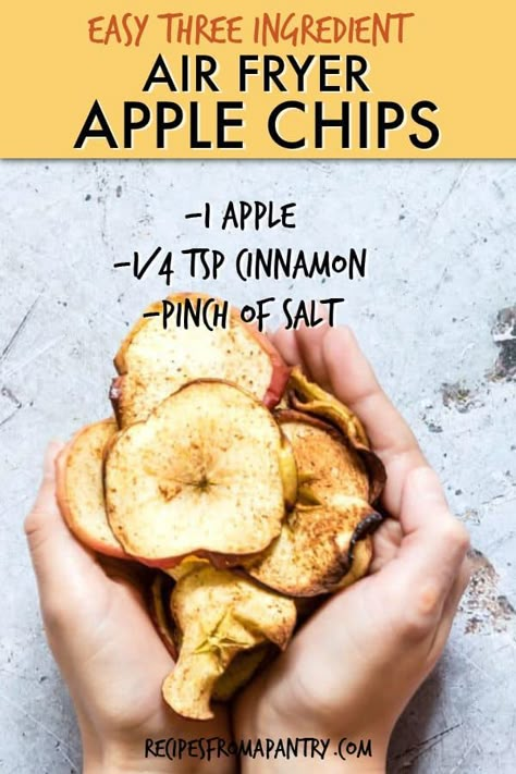 Air Fryer Apple Chips are a delicious, healthy, and totally addictive snack. Since they are made with just 3 ingredients and absolutely NO sugar and NO oil, you can indulge in this tasty treat totally guilt free without derailing your healthy eating plan! #airfryer #airfryerrecipes #fairfryerapplechips #applechips #veganrecipes #glutenfreerecipes #wwrecipes #zeropointrecipes Air Fryer Apple Chips, Airfryer Healthy, Air Fryer Apples, Apple Chips Recipe, Dessert Ww, Air Fryer Recipes Breakfast, Air Fryer Oven Recipes, Air Fry Recipes, Apple Chips