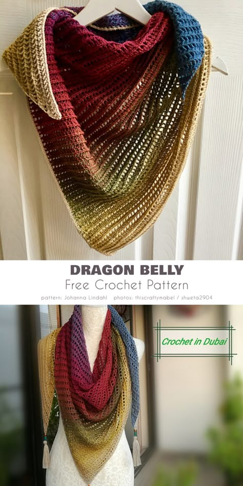 Dragon Belly Shawl Pattern, Crochet Patterns Free Shaw, Crochet Shawl Scarf, Crochet A Shawl Free Pattern, 1 Skein Crochet Patterns Free, Modern Shawl Crochet, Crochet Patterns For Shawls, Road Trip Crochet Projects, Beginner Crochet Shawl Pattern Free