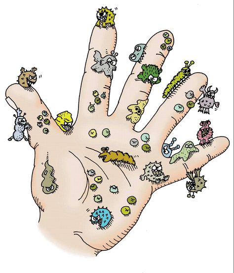 Bug_hand_10-05.gif (1602×1867) Germs On Hands, Hands Cartoon, Poop Jokes, Hands Drawing, Drawing Room Interior Design, Dirty Hands, Surgical Tech, Tech Humor, Infection Control