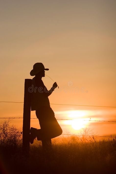 Cowboy Watching Sunset. Silhouette of cowboy leaning against fence post watching , #SPONSORED, #Silhouette, #cowboy, #Sunset, #Cowboy, #Watching #ad Painting Rusty Metal, Watching Sunset, Sunset Tattoos, Cowboy Romance, Cowboy Stuff, Cowboy Pictures, Western Artwork, Western Photography, Cowboy Aesthetic