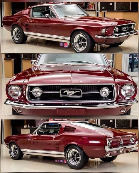 1967 Ford Mustang GT Fort Mustang, 1965 Ford Mustang Convertible, 1966 Mustang Gt, Hurst Oldsmobile, 68 Ford Mustang, Car Favorites, Mustang 1969, Ford Mustang 1969, Mustang 1966