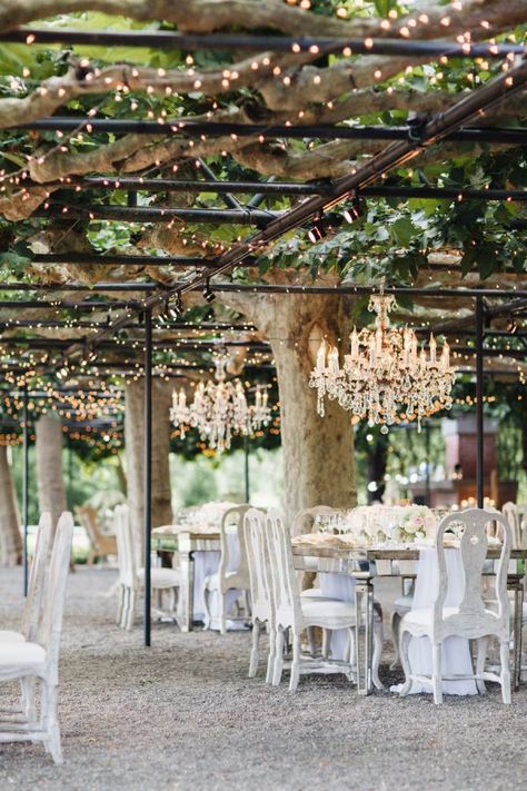 Napa Valley garden wedding decor with chandeliers and draping lights: http://www.stylemepretty.com/2016/09/02/napa-valley-garden-party-small-wedding/ Photography: Jana Williams - http://jana-williams.com/ Beaulieu Garden, Couple Life, Smallest Wedding Venue, Garden Wedding Decorations, Church Flowers, Outdoor Wedding Decorations, Outdoor Wedding Venues, Vineyard Wedding, The Grove