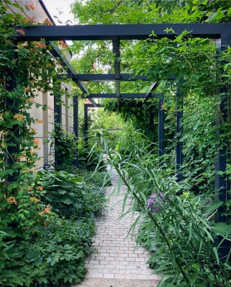 Steel Pergola, Warsaw Poland, Climbing Plants, Small Gardens, Warsaw, The Garden, Climbing, Poland, Pergola