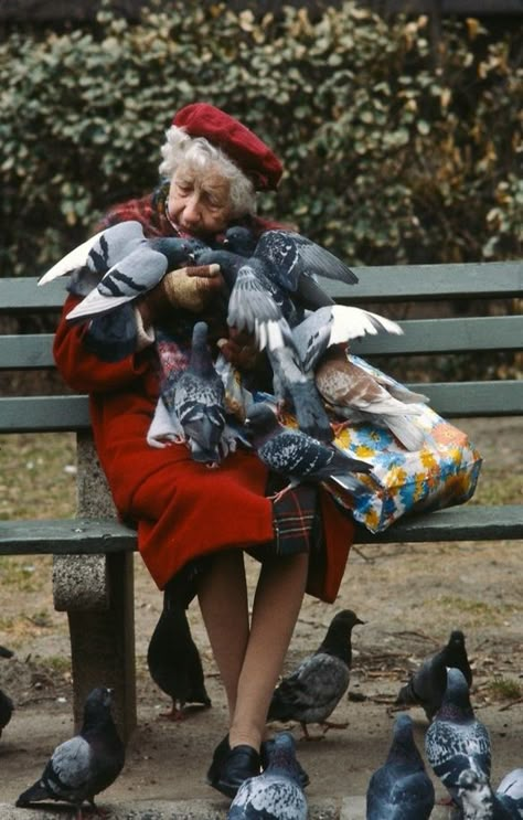 Bench Nyc Pigeon, Photographie Portrait Inspiration, Young At Heart, Old Woman, People Of The World, Old People, 인물 사진, Growing Old, Park Bench