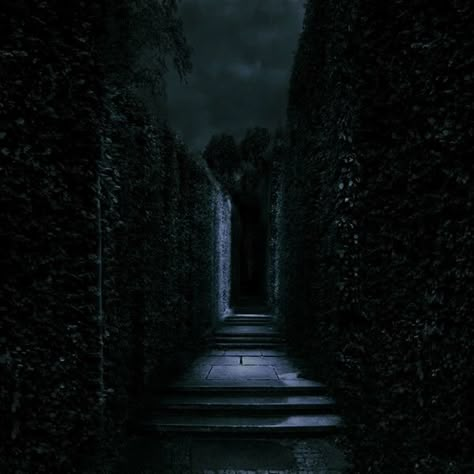 Hedge Maze Aesthetic Dark, Dark Maze Aesthetic, Hedge Maze Aesthetic, Garden Maze Aesthetic, Violet Made Of Thorns, Maze Aesthetic, Dark Fantasy Wallpaper, The Maze Runner Aesthetic, Scary Maze