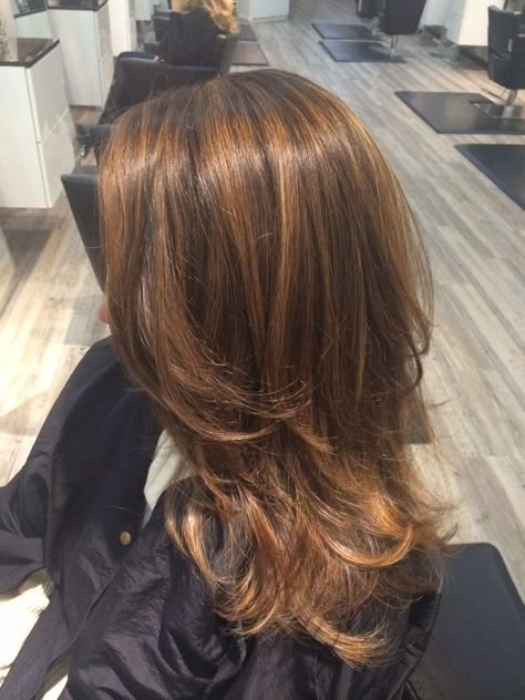 Balayage Red To Light Brown Hair, Light Brown Copper Highlights, Highlights On Light Brown Hair Straight, Fall Hair Colors For Fair Skin, Haircolors Idea, Ginger Balayage On Brown Hair, 2000s Hair Color, Ginger Highlights In Brown Hair, Amber Highlights