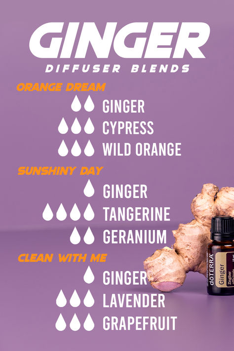 oil diffuser recipes for ginger oil recipes Oil Diffuser Aesthetic, Ginger Oil Benefits, Diffuser Blends Doterra, Diffuser Aesthetic, Doterra Blends, Doterra Diffuser, Doterra Diffuser Blends, Essential Oil Diffuser Blends Recipes, Ginger Essential Oil