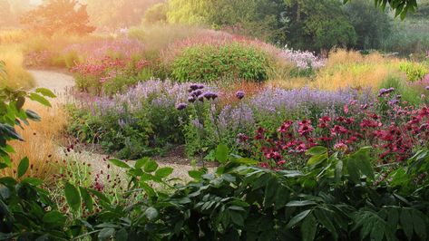 perennial garden by Piet Oudolf Pier Oudolf, Perennial Meadow Garden, Piet Oudolf Garden Design, Oudolf Garden, Oudolf Piet, Papaver Beauty Of Livermere, Flower Magazine, Dutch Gardens, Piet Oudolf