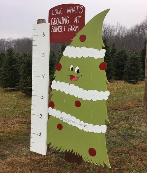 Christmas In The Park Ideas, Christmas Tree Farm Layout, Christmas Tree Farm Display, Christmas Tree Farm Games, Christmas Tree Farm Ideas, Christmas Tree Farm Business, Christmas Tree Farm Office Decor, Farm Christmas Tree, Christmas Tree Farm Decor