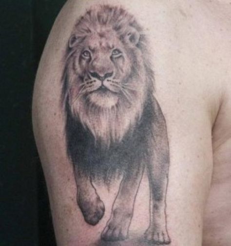 lion tattoo to symbolize courage probably would want it on my side. then this guy would be always walking with  me. :) Walking Lion Tattoo, Full Lion Tattoo, Lion Tattoo Design Male, Lion Tattoo Design Male Arm, Lion Symbolism, Leo Lion Tattoos, Walking Lion, Lion Tattoo Meaning, Lion Shoulder Tattoo