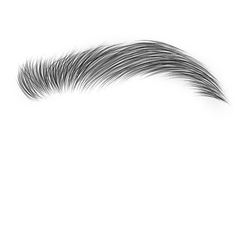 Microblading Eyebrows Logo, Eyebrow Sketch, Eyebrow Png, Eyebrow Images, Me Cover Instagram Highlight, Bold Eyebrows, Deadpool Art, Eye Texture, Brow Stylist