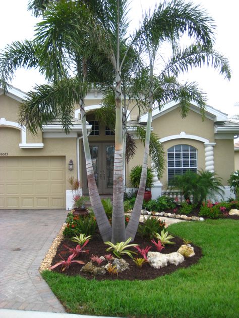 Front Yard Tree Landscaping, Cheap Landscaping, Trees For Front Yard, Palm Trees Landscaping, Tropical Landscape Design, Front Yards Curb Appeal, Cheap Landscaping Ideas, Florida Landscaping, Small Front Yard Landscaping