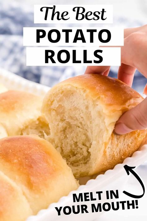 These potato rolls are extra soft, fluffy, and basically the best dinner rolls ever. Perfect for Thanksgiving, the holidays, or any time! Thanksgiving Hair Ideas, Amish Dinner Rolls, Style Front Bangs, Potato Bread Rolls, Potato Dinner Rolls Recipe, Potato Roll Recipe, Harvest Treats, Hairstyles For Holiday, Potato Dinner Rolls