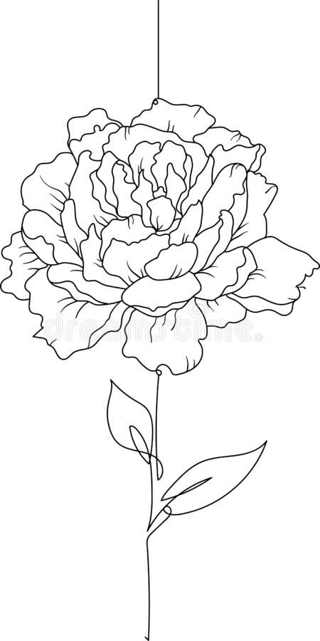 Peonies Line Drawing, Peonies Line Art, Simple Peony Tattoo Outline, Peonies Drawing Simple, Peony Flower Outline, Line Peony Tattoo, Simple Peony Tattoo, Line Art Drawings Aesthetic, Flower Hand Drawing