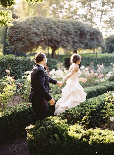 Beaulieu Garden Wedding, Park Wedding Ceremony, Beaulieu Garden, Outdoor Garden Wedding, Napa Valley Wedding, Wedding Ceremony Photos, Wedding Picture Poses, Wedding Photography Styles, Garden Pictures