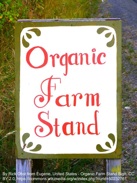 Try a Self Service/Honor System Stand. Honey Stand, Two Places At Once, Selling Flowers, Honor System, Produce Stand, Product To Sell, Cheese Butter, Stand Ideas, State Farm