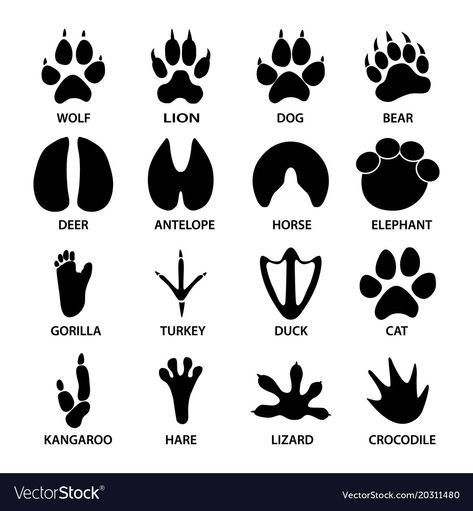 Cricut Animals, Animal Footprints, Life Binder, Animal Tracks, Wilderness Survival, Svg Silhouette, Silhouette Cricut, Free Vector Art, Royalty Free Photos