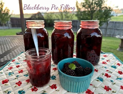 Home Canned Blackberry or Raspberry Pie Filling Canned Blackberry Pie Filling, Blackberry Pie Filling, Farmhouse Recipes, Raspberry Pie Filling, Pear Preserves, Pumpkin Crunch Cake, Canning Fruit, Blackberry Pie, Bowl Party Food