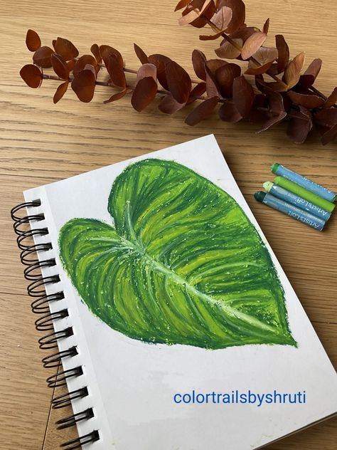 Philodendron Leaf, Leaf Artwork, Chalk Pastel, Oil Pastel Paintings, Pastel Paintings, Pencil Shading, Oil Pastel Art, Leaf Drawing, Chalk Pastels