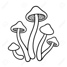 Fungi Drawing Easy, Simple Trippy Drawings, Cartoon Mushrooms, Mushroom Cartoon, Scratch Book, Trippy Mushroom, Cartoon Mushroom, Dibujo Simple, Mushroom Tattoos