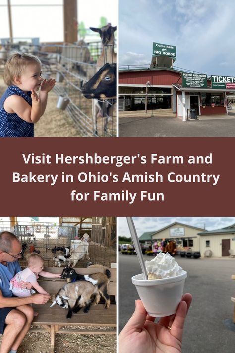 Fry Pies, Amish Bakery, Ohio Amish Country, Millersburg Ohio, Amish Buggy, Amish Country Ohio, Ohio Vacations, Petting Farm, Holmes County Ohio