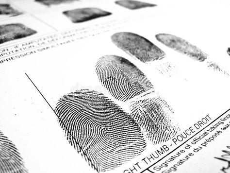 Fingerprint Aesthetic, Records Aesthetic, Storyboard Ideas, Master Of Arts, Contact Card, Liberty University, Reading Area, Online Degree, Future Jobs